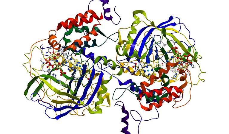 Deficit di sulfito-ossidasi