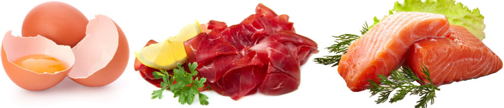 Proteine nutrizione riabilitazione Nutricia