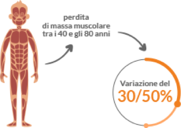 sarcopenia perdita massa